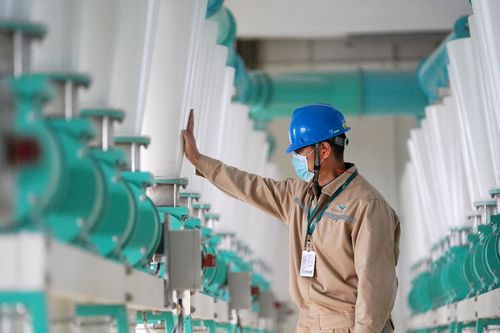 益海嘉里金龍魚 疫情之下穩舵前行，持續加碼中國市場